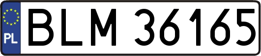 BLM36165