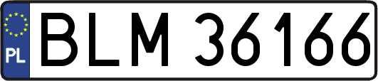 BLM36166
