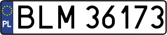 BLM36173