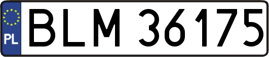 BLM36175