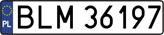 BLM36197