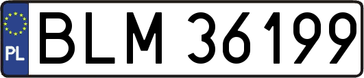 BLM36199