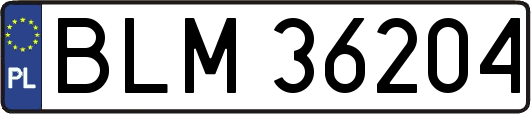 BLM36204