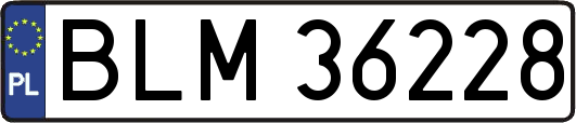 BLM36228