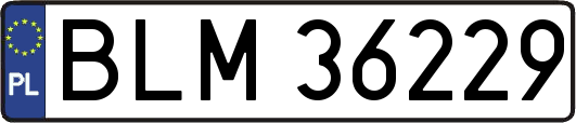 BLM36229