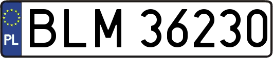 BLM36230