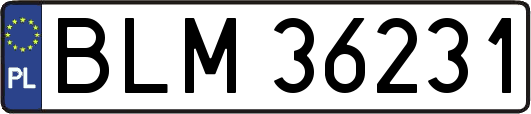 BLM36231
