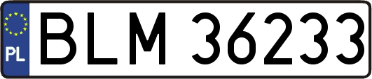BLM36233
