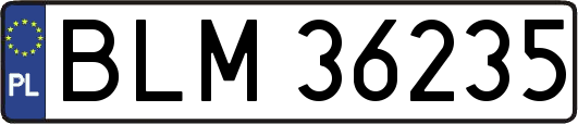 BLM36235