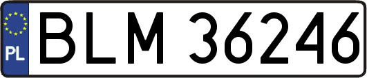 BLM36246