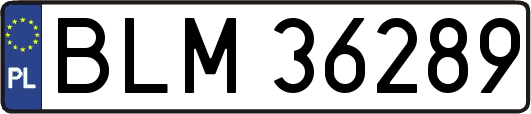 BLM36289