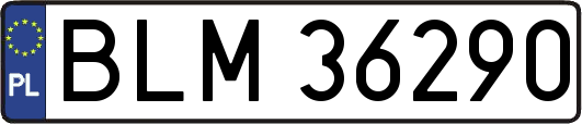 BLM36290