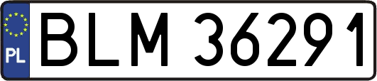 BLM36291