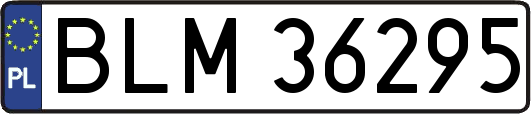 BLM36295