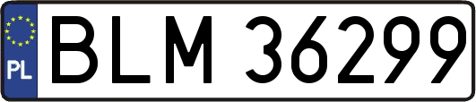 BLM36299