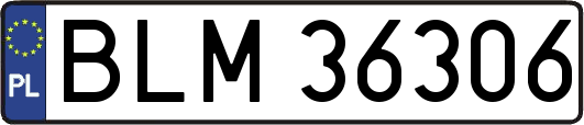 BLM36306
