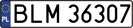 BLM36307