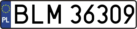 BLM36309