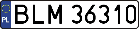 BLM36310