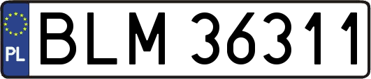 BLM36311
