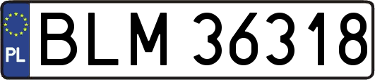 BLM36318