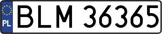 BLM36365