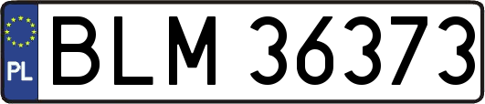 BLM36373