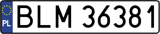 BLM36381