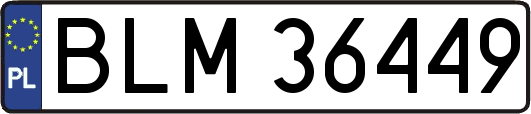 BLM36449