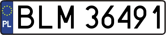 BLM36491