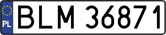 BLM36871