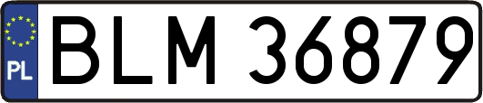 BLM36879