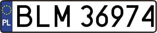 BLM36974