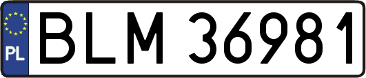 BLM36981