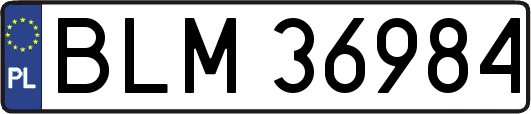 BLM36984