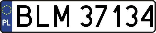 BLM37134