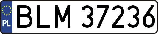 BLM37236