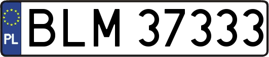 BLM37333