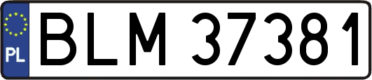BLM37381
