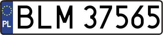 BLM37565
