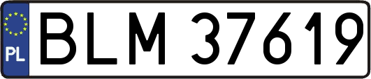 BLM37619