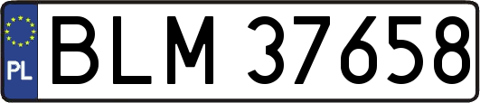BLM37658