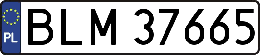 BLM37665