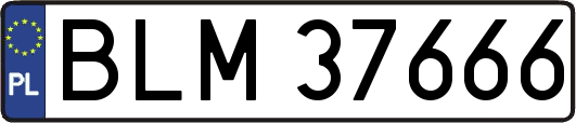 BLM37666