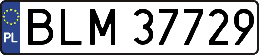 BLM37729