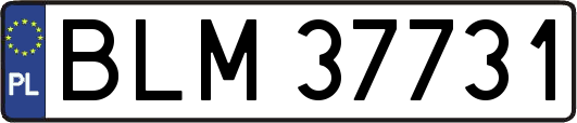 BLM37731