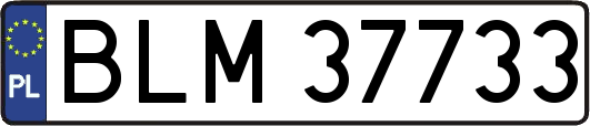 BLM37733
