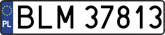 BLM37813
