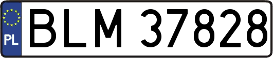 BLM37828