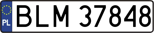 BLM37848